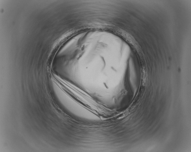X0000080100675200701051305