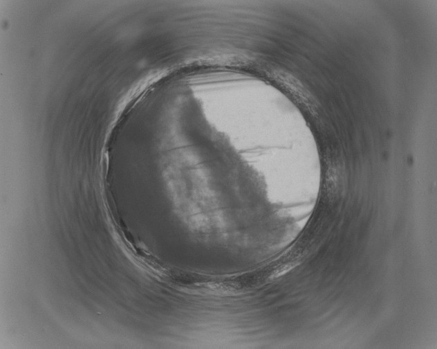 X0000080100678200701051305