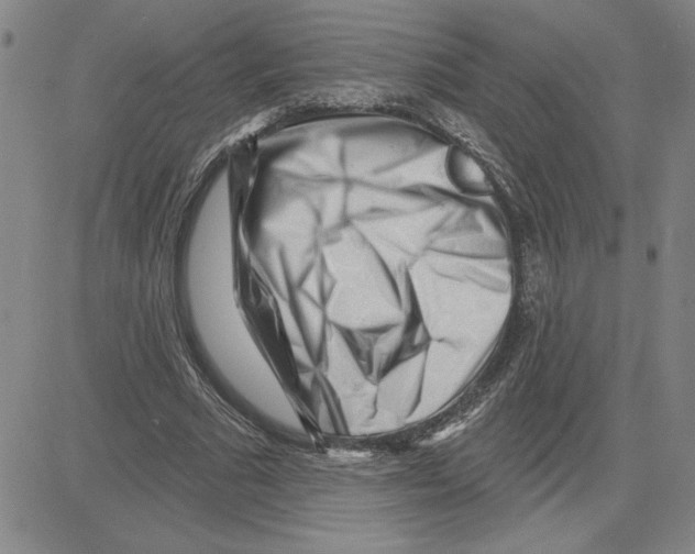 X0000080100681200701051305
