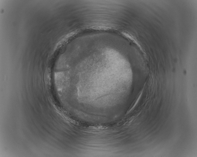 X0000080100688200701051305
