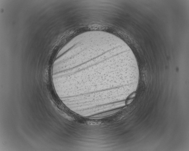 X0000080100690200701051305