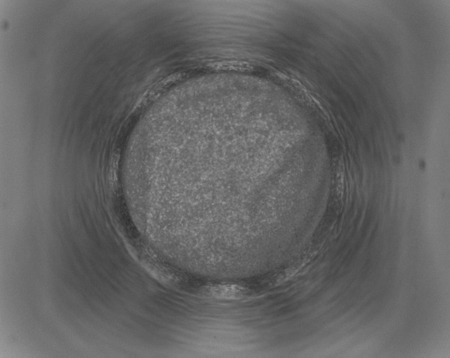X0000080100695200701051305