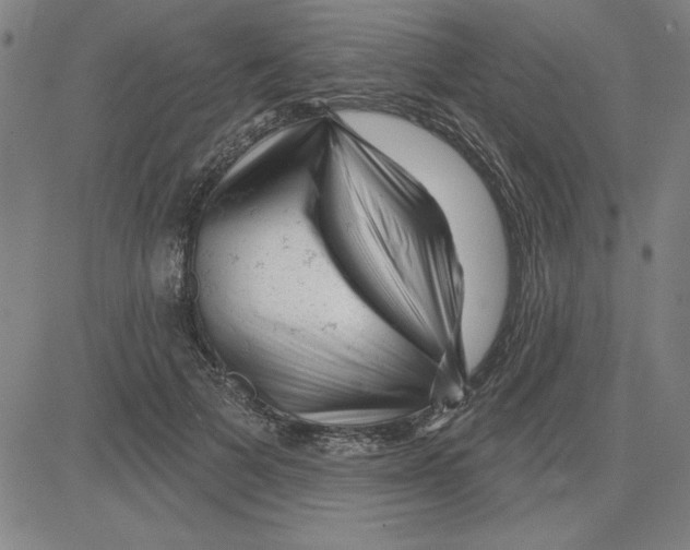 X0000080100697200701051305