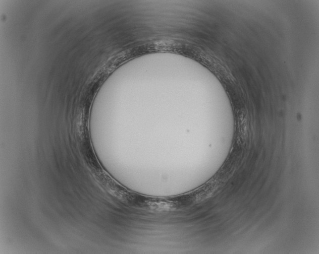 X0000080100698200701051305