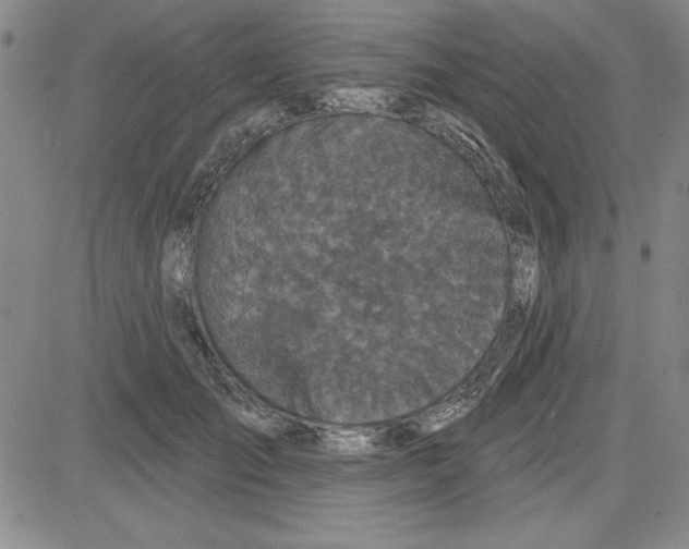 X0000080100701200701051305