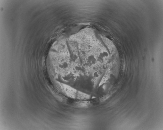 X0000080100711200701051305