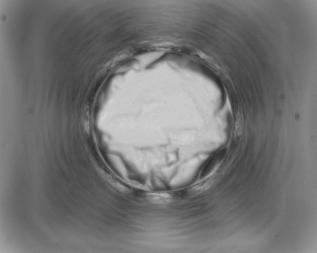 X0000080100719200701051305
