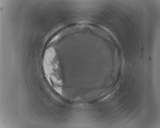 X0000080100721200701051304