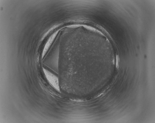 X0000080100723200701051304
