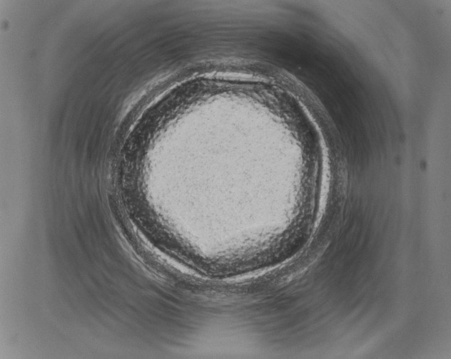 X0000080100725200701051304