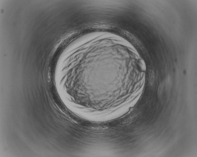 X0000080100731200701051304