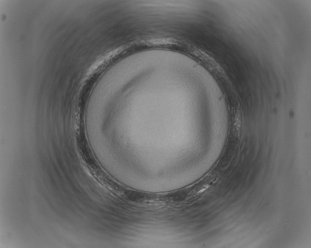 X0000080100732200701051304