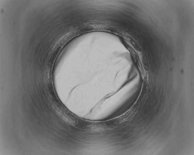 X0000080100733200701051304