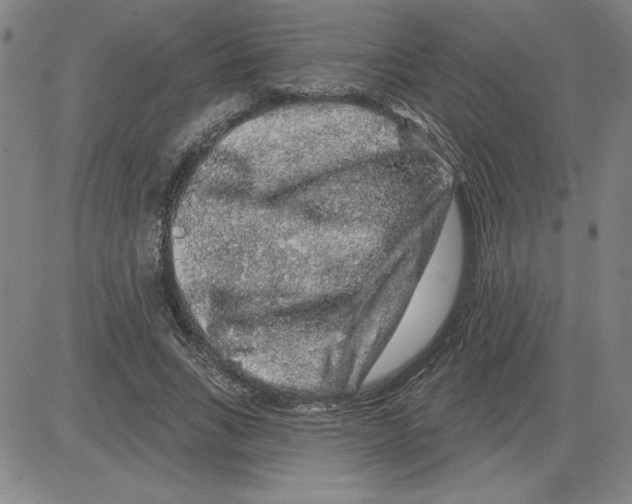 X0000080100735200701051304