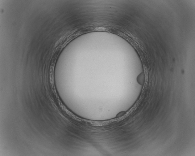 X0000080100740200701051304