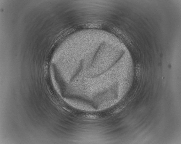 X0000080100741200701051304