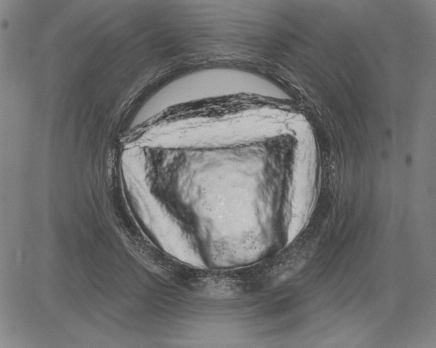 X0000080100742200701051304