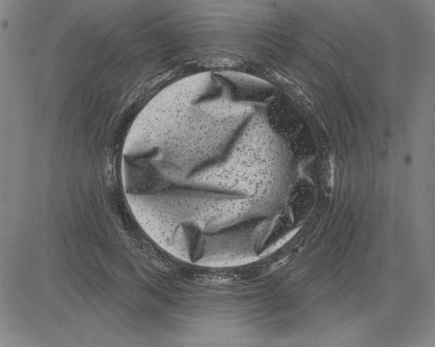 X0000080100743200701051304