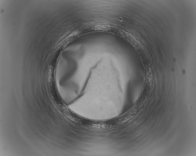 X0000080100744200701051304
