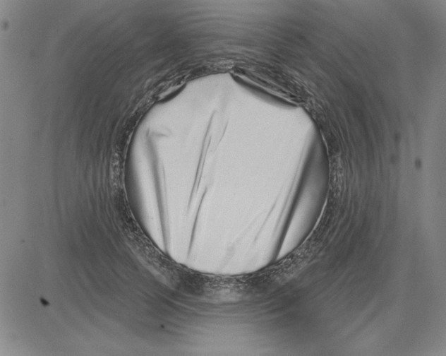X0000080100745200701051304