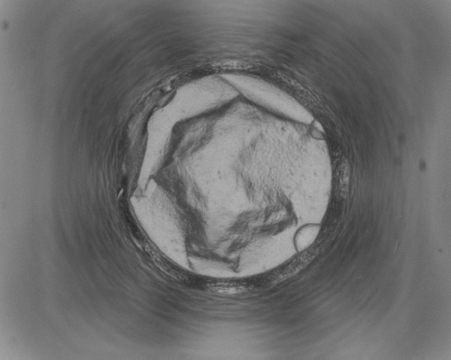 X0000080100746200701051304