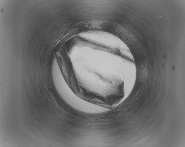 X0000080100747200701051304