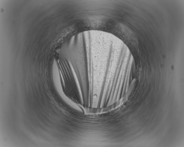 X0000080100750200701051304