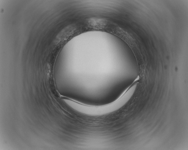 X0000080100752200701051304