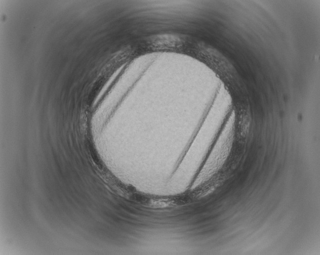 X0000080100753200701051304