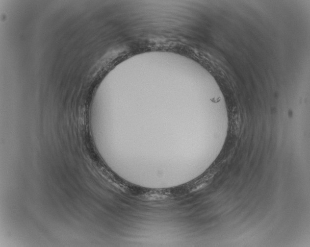 X0000080100756200701051304