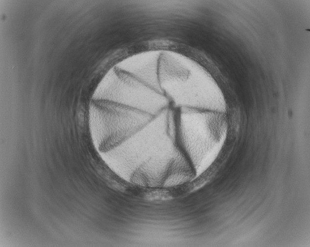 X0000080100761200701051304
