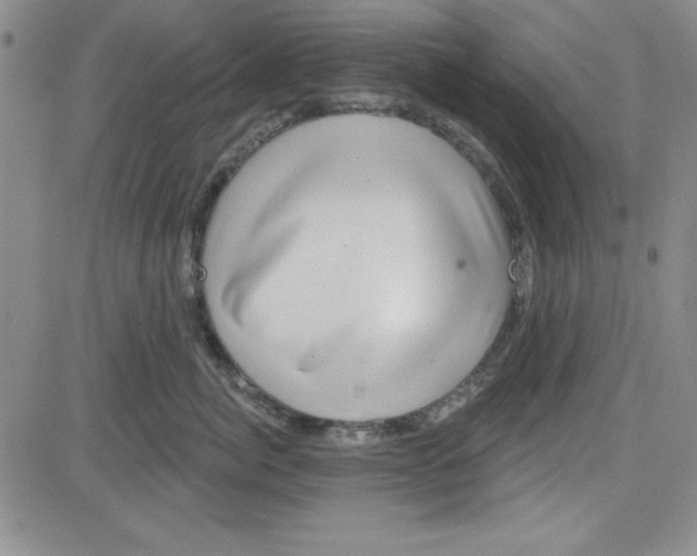 X0000080100764200701051304