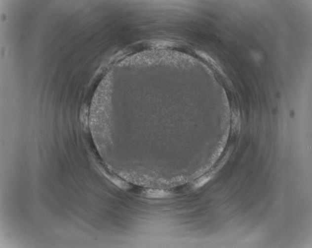 X0000080100766200701051304