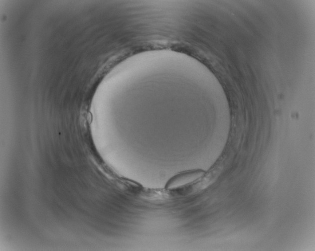 X0000080100768200701051304