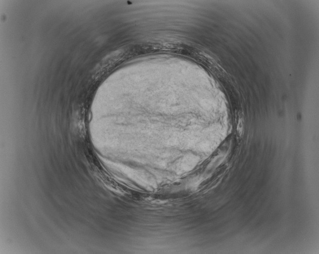 X0000080100771200701051304