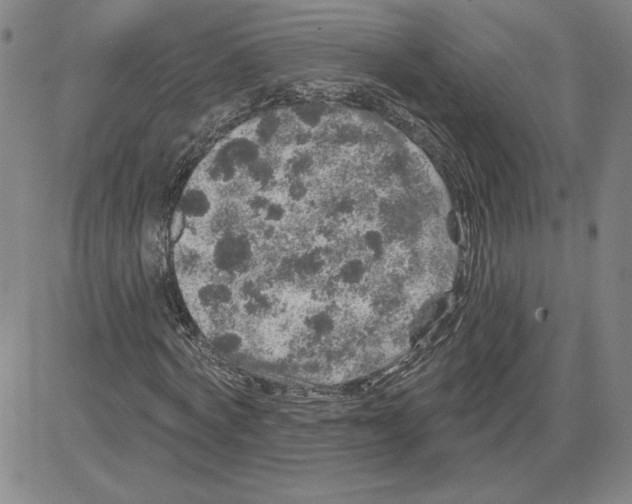 X0000080100772200701051304