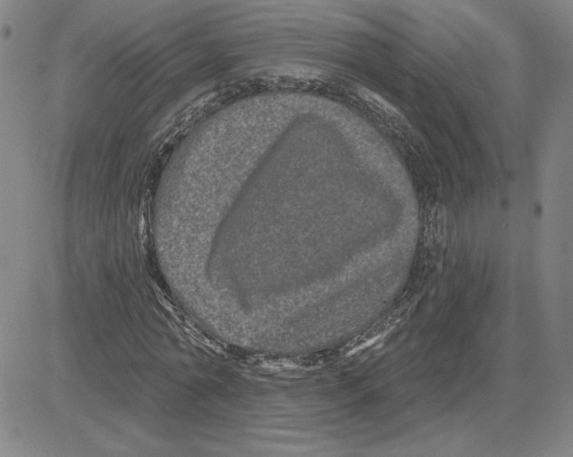 X0000080100774200701051304
