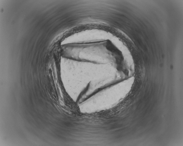X0000080100775200701051304