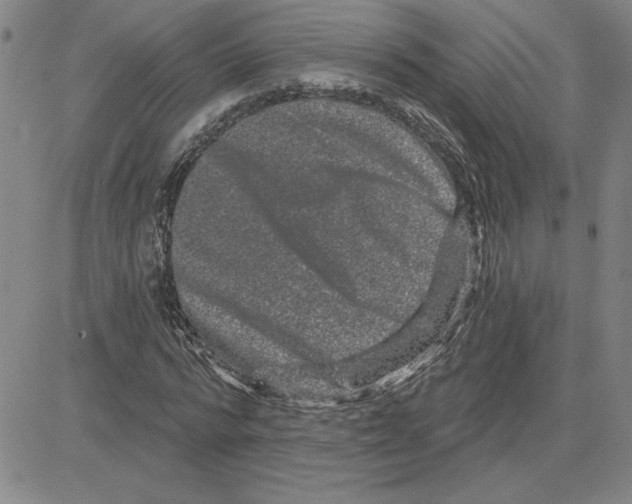 X0000080100776200701051304