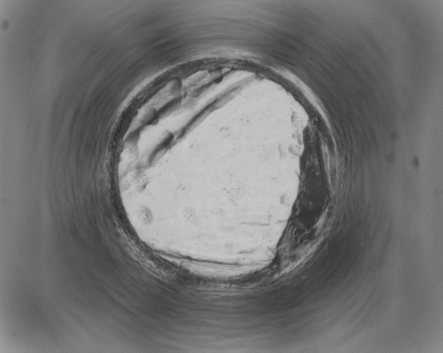 X0000080100783200701051303