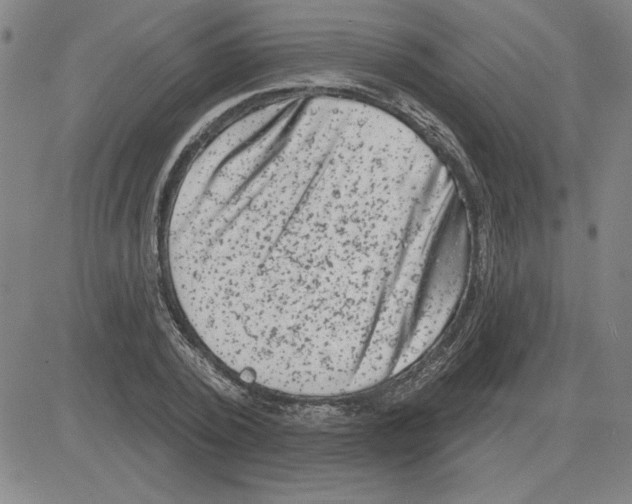 X0000080100784200701051303