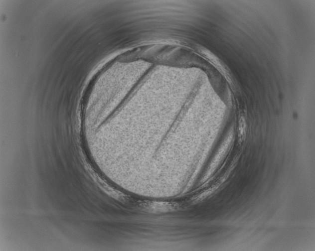 X0000080100787200701051303