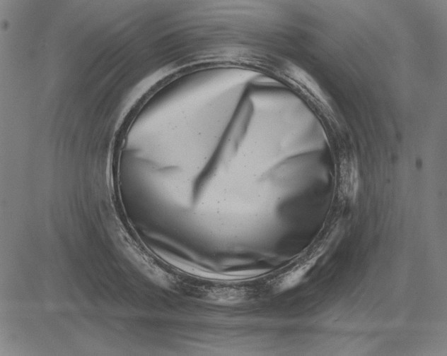 X0000080100788200701051303