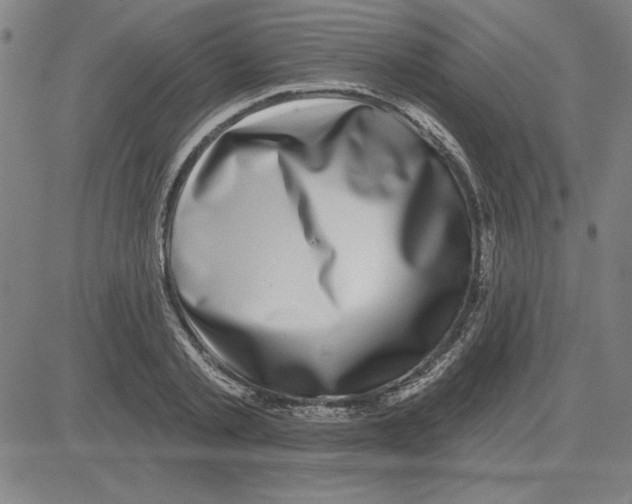 X0000080100789200701051303