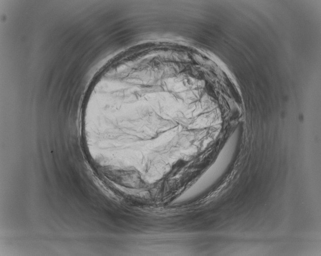X0000080100791200701051303