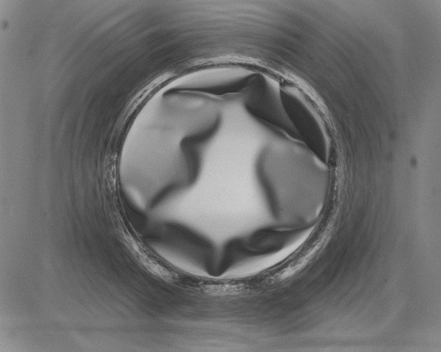 X0000080100793200701051303