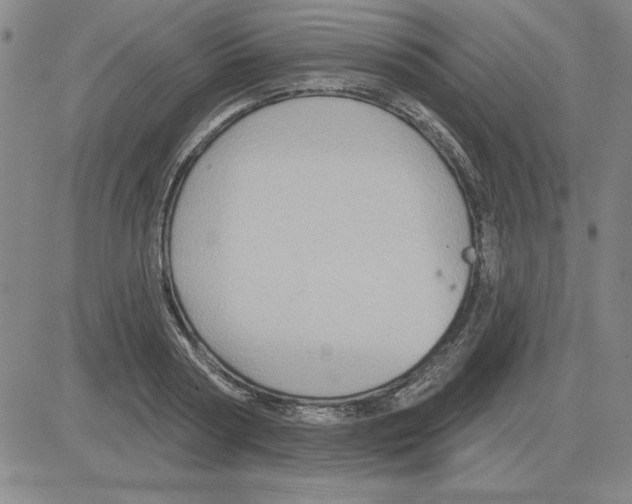 X0000080100794200701051303