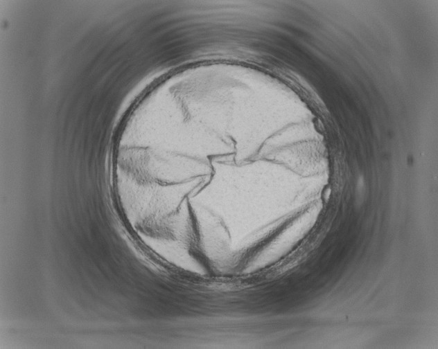 X0000080100796200701051303