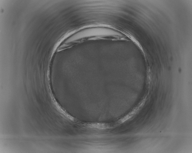 X0000080100797200701051303