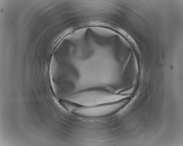 X0000080100801200701051303